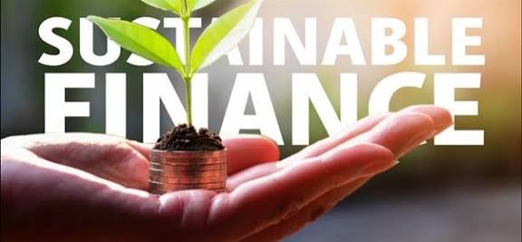 Sustainable Finance in India & Globally: What to Know Before You Raise Green, Social, Sustainability or Transition Capital in 2025