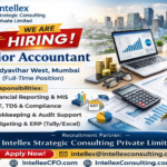 IT Solutions Company